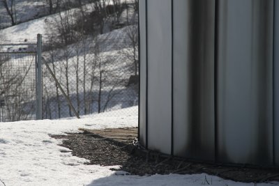 Buried radials connected to the antenna match box at its base.