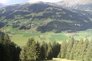 View of the site where the antennas were located, Sep. 2014.