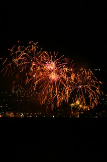 Fireworks of the city of Neuchatel, Aug. 1, 2008, 210mm f/7.1 7s ISO-100