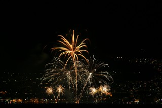 Fireworks of the city of Neuchatel, Aug. 1, 2008, 205mm f/7.1 6s ISO-100