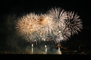 Fireworks of the city of Neuchatel, Aug. 1, 2008, 230mm f/7.1 1s ISO-100