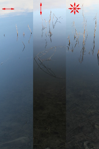 Water surface in a pond. Left: horizontally polarized; middle: vertically polarized; right: not polarized. 35 mm, f/5.6, 1/50 s, 1/60 s, 1/200 s (respectively), ISO-400. Exposure was adjusted to take into account polarizer losses. (click to enlarge)