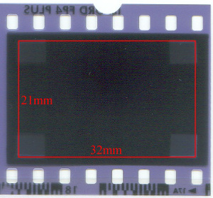 Canon EOS-300 viewfinder coverage on 35 mm negative film (click to enlarge).